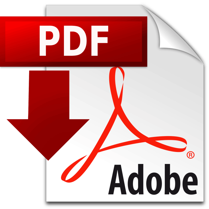 icono PDF